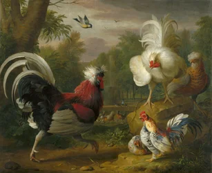 The Cockrel
